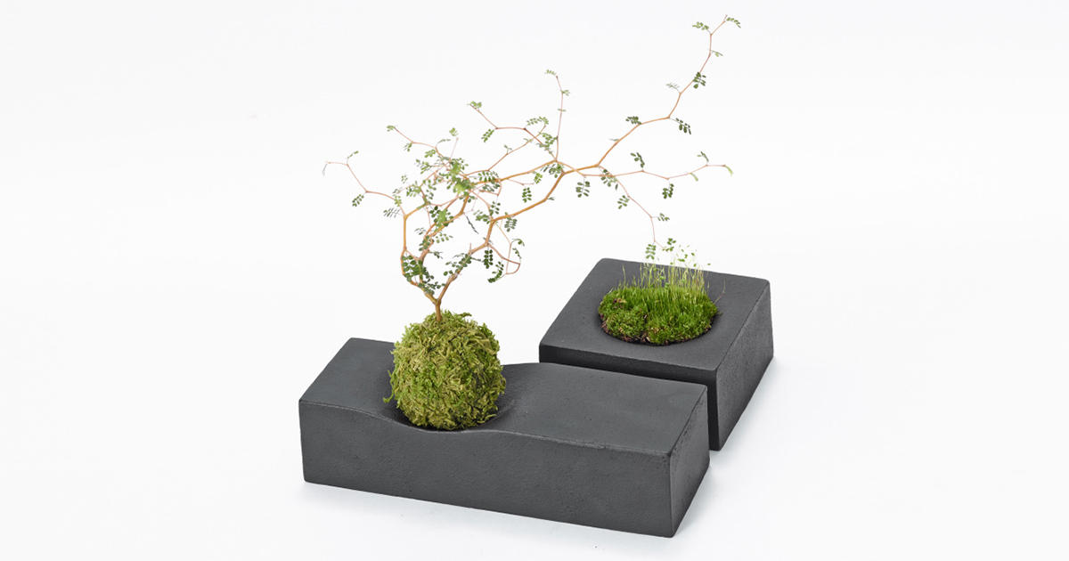 qubon 31030-31 Bonkei Planter Square / Rectangle | PRODUCT | METAPHYS